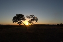 Icone of the State Park of Jalapão and the surroundings - Tocantins State