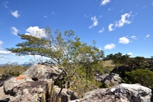 The small city of Pirenópolis - State of Goiás