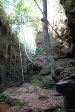 Photograph of the Park of Jalapão - Tocantins State