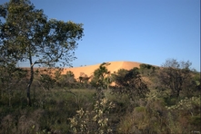 Photograph of the dunes - Jalapão Park - Tocantins State