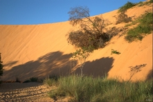 Photograph of the dunes - Jalapão Park - Tocantins State