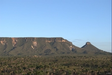 Photograph of the dunes - Jalapão Park - Tocantins State