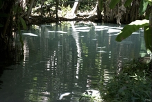 Photograph of the village of Mateiros and the surroundings - Jalapão Park - Tocantins State