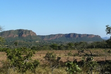 Photo de l'est de l'Etat de Mato Grosso do Norte - Culture intensive